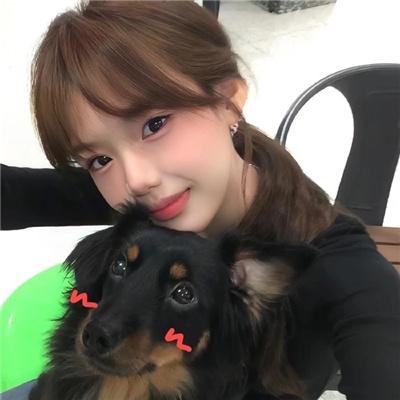 狐狸女士第二季